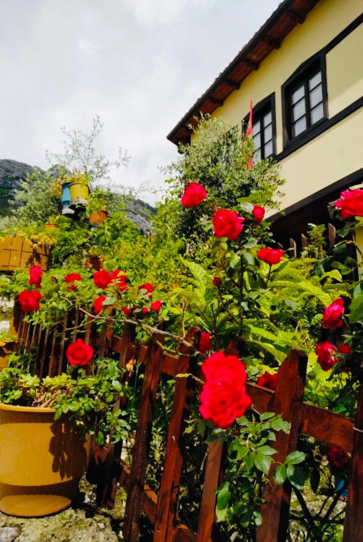 Rooms Emiliano Castle Of Kruja Exterior foto
